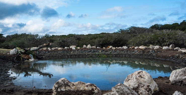 One of the five ponds that the Sardinia Bay Golf and Wildlife Estate have built