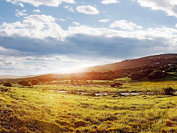 Sardinia Bay Golf & Wildlife Estate