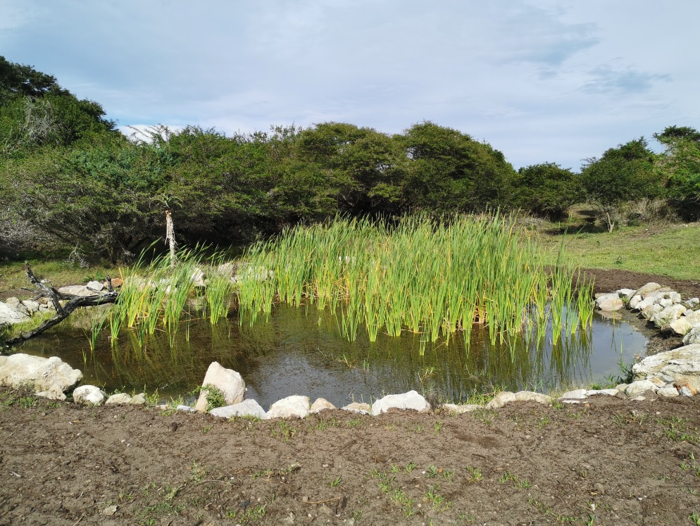 The man-made ponds are enjoyed by both the wildlife and residents of Sardinia Bay Golf & Wildlife Estate. 