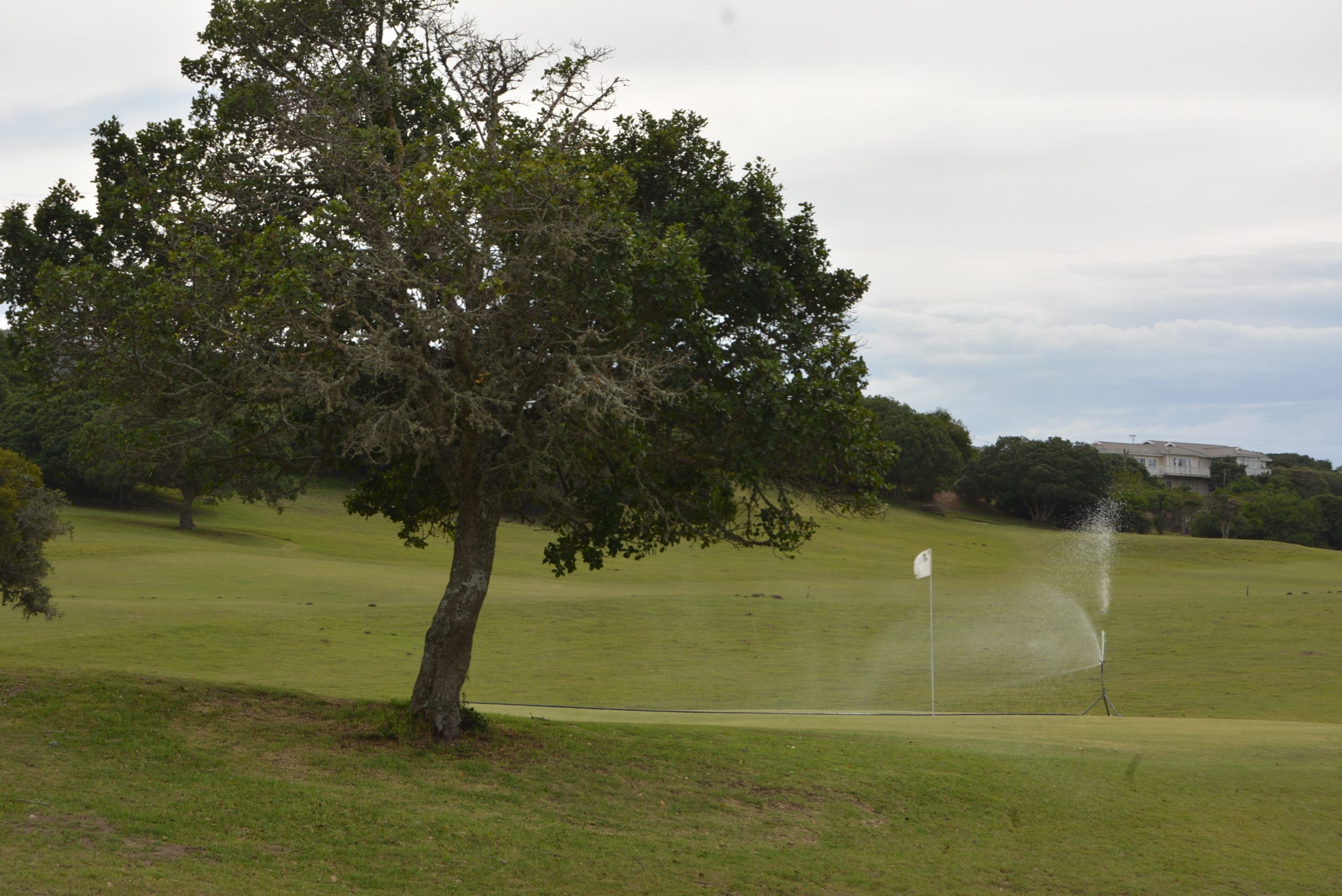 Sardinia Bay Golf & Wildlife Estate plans to use recycled instead of borehole water to irrigate the golf course once the lockdown is suspended. 