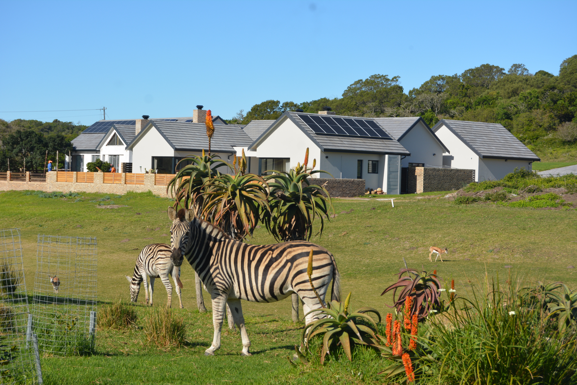 Sardinia Bay Golf & Wildlife Estate