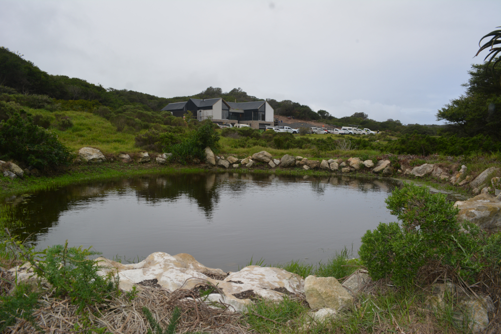Ponds Phase 4